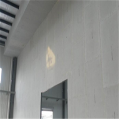 凌海新型建筑材料掺多种工业废渣的ALC|ACC|FPS模块板材轻质隔墙板